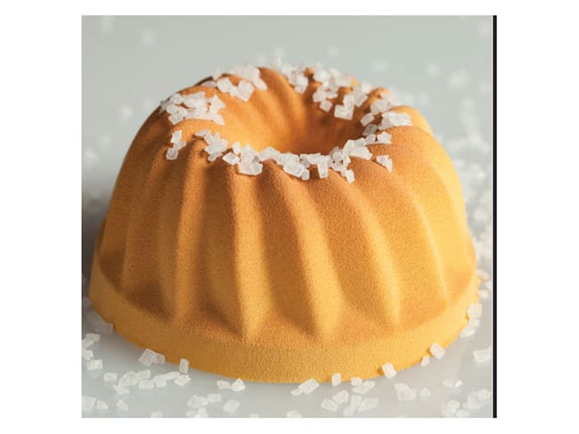 Pavoflex moule 24 kouglofs