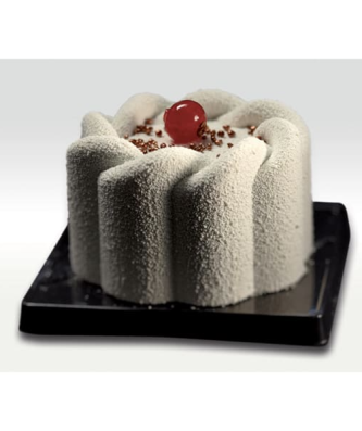 Pavoflex moule 24 torsades