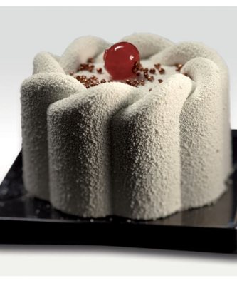 Pavoflex moule 24 torsades