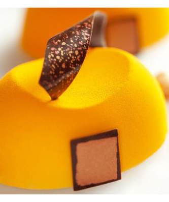 Pavoflex moule 24 vagues