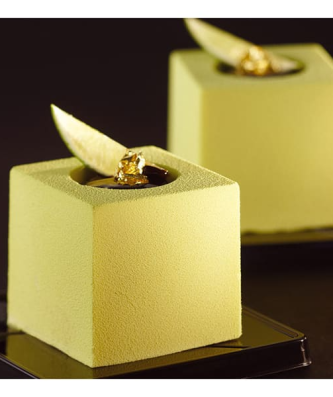 Pavoflex moule 28 cubes