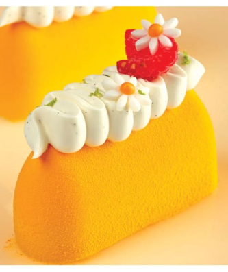 Pavoflex moule 40 Gianduiotto