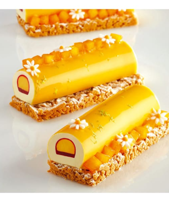 Pavoflex moule 9 inserts