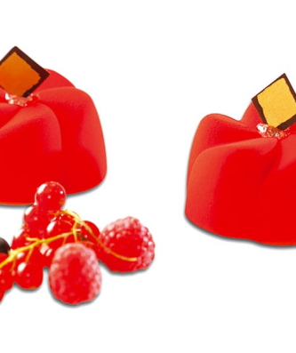 Pavoflex moule 24 vrilles