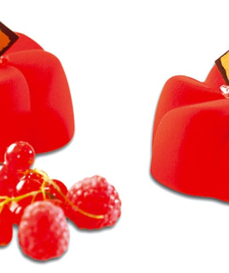 Pavoflex moule 24 vrilles