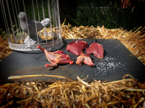 Lot de 10 Pigeonneaux Découpés