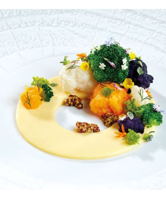 Plaque silicone 6 empreintes grand anneau