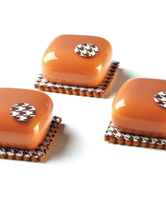 Pavoflex moule 12 Mister