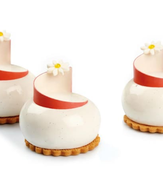 Pavoflex moule 12 Planet