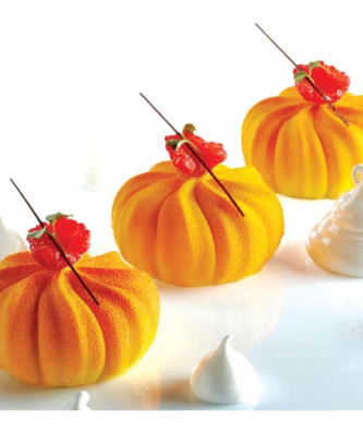 Pavoflex moule 12 Twister