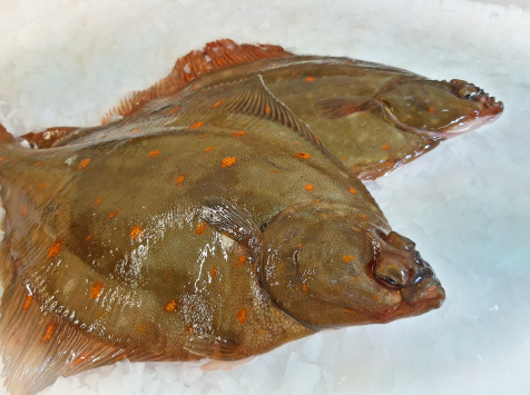 Plie Vidée Lot De 2kg (300g/400g Par Pièce)