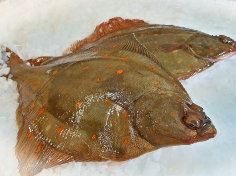 Plie Vidée Lot De 2 Kg (4/600g Par Pièce)