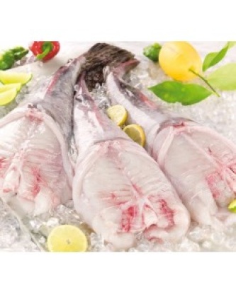 QUEUE DE LOTTE LOT DE 2KG