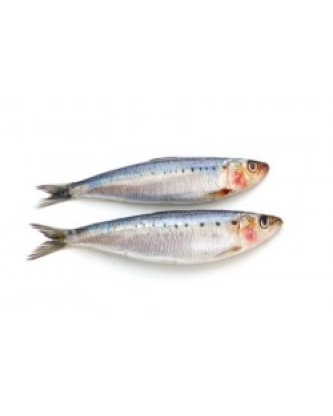 SARDINE ATLANTIQUE ENTIÈRE LOT DE 2KG