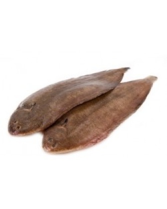 SOLE PORTION LOT DE 1KG 2 À 4 PIÈCES