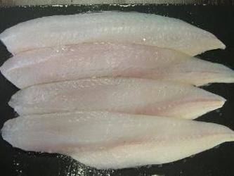 Filets De Tacaud Sans Peau Sans Arêtes