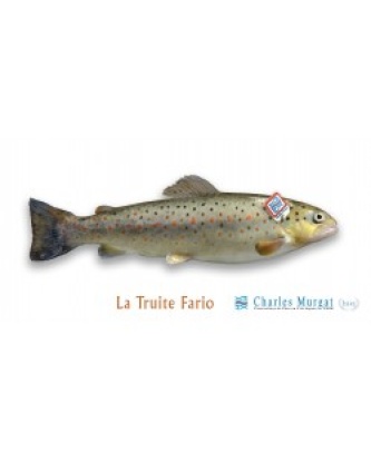 TRUITE FARIO COLIS 3KG