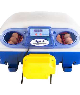 Couveuse à œufs entièrement automatique - 24 œufs