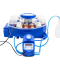 Couveuse à œufs entièrement automatique - 8 œufs - Système d'humidification