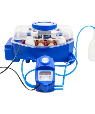 Couveuse à œufs entièrement automatique - 8 œufs - Système d'humidification