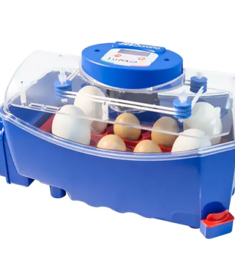 Couveuse à œufs entièrement automatique - 8 œufs