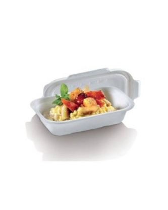 Barquette bagasse 500 ml - par 125