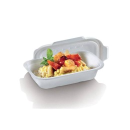 Barquette bagasse 500 ml - par 125