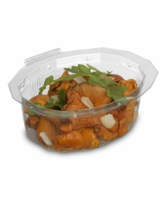 Barquette plastique transparente à couvercle Multipack 250 ml - par 360