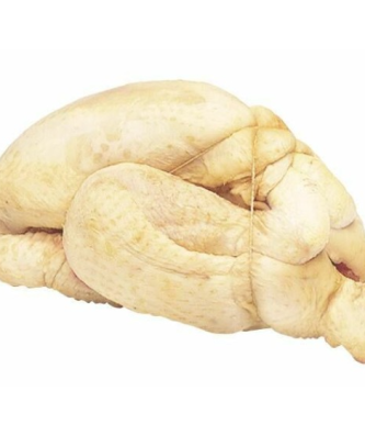 Bride élastique pour volaille Ø 12 cm - par 1 kg