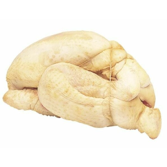 Bride élastique pour volaille Ø 12 cm - par 1 kg