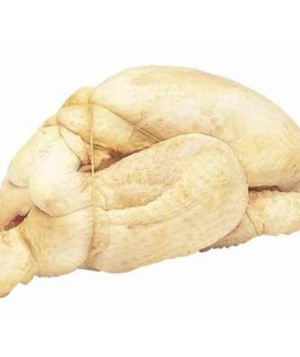 Bride élastique pour volaille Ø 14 cm - par 1 kg