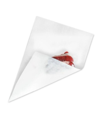 Papier paraffiné fibre recyclée 1 face blanc 50 g/m² 33 x 50 cm - par 10 kg