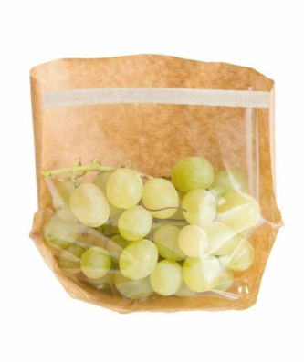 Sachet kraft fermeture auto-adhésive TURTLE PACK 20 x 15 x 4 cm - par 100