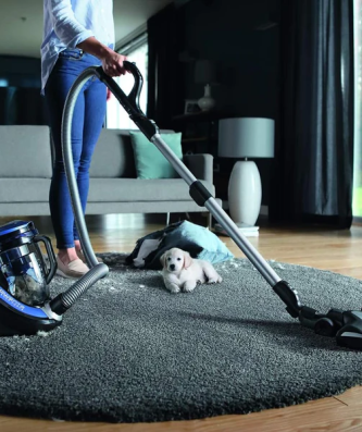 Aspirateur sans sac Cyclonic de 2,5L 550W bleu noir Rowenta