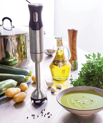 Mixeur plongeant 1000 W Mathon