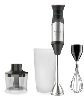 Mixeur plongeant 1200 W Bapi Taurus