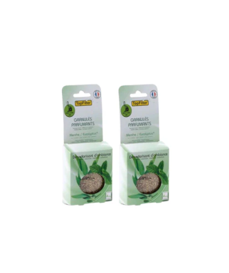 Lot de 2 x 4 Sachets de granulés de parfum pour aspirateur à la menthe/eucalyptus TopFilter TopFilter