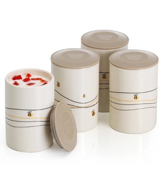 Lot de 4 pots pour yaourtière fromagère Naturamix