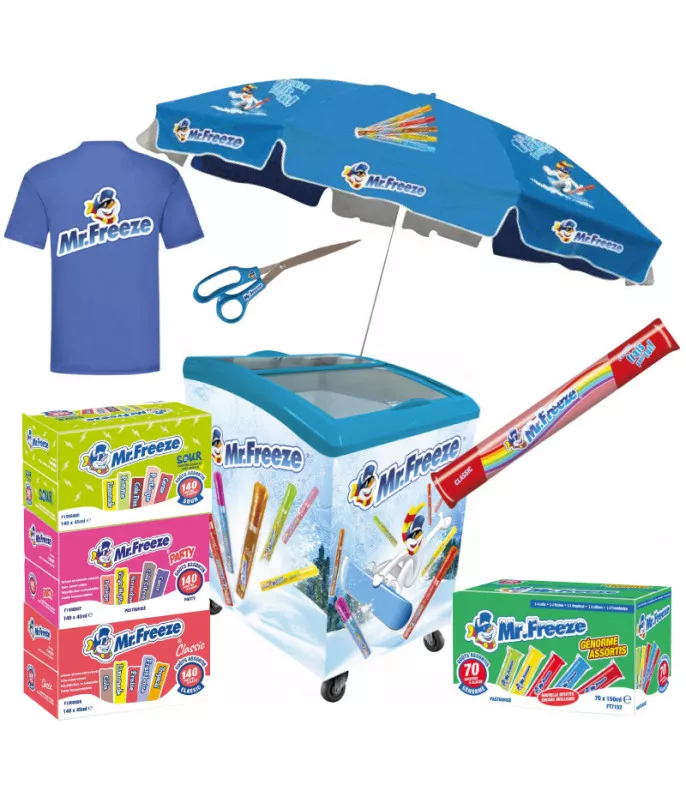 Kit Congélateur Mr Freeze 138 L