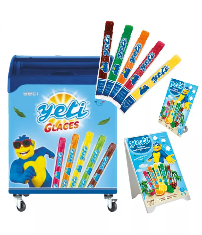 Kit Congélateur Yeti Gel 100 L