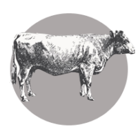 Farm Whole / Half Beef