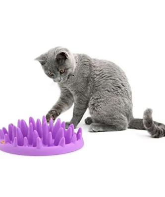 Northmate Interactive Cat Feeder