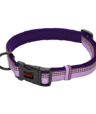 Halti Purple Dog Collar Large