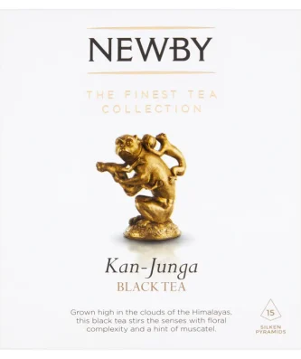 Newby Teas Kan Junga Silken Pyramids 15 per pack