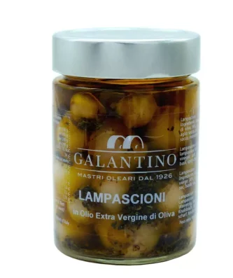 Lampascioni Wild Onions in Extra Virgin Olive Oil 320 gr