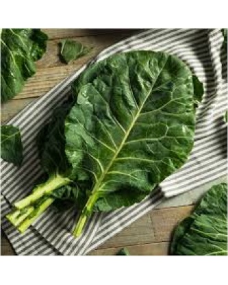 Couve Galega Congelada / Frozen Cabbage COMDALGEL - 250g