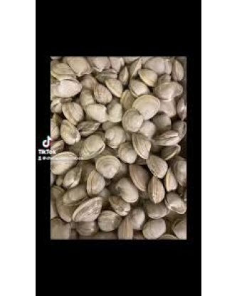 Ameijoa Branca / White Clam COPESMA - 1Kg