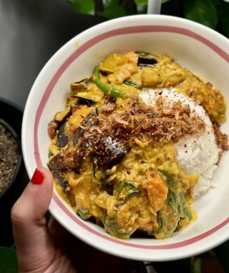 Eggplant and Leek Curry