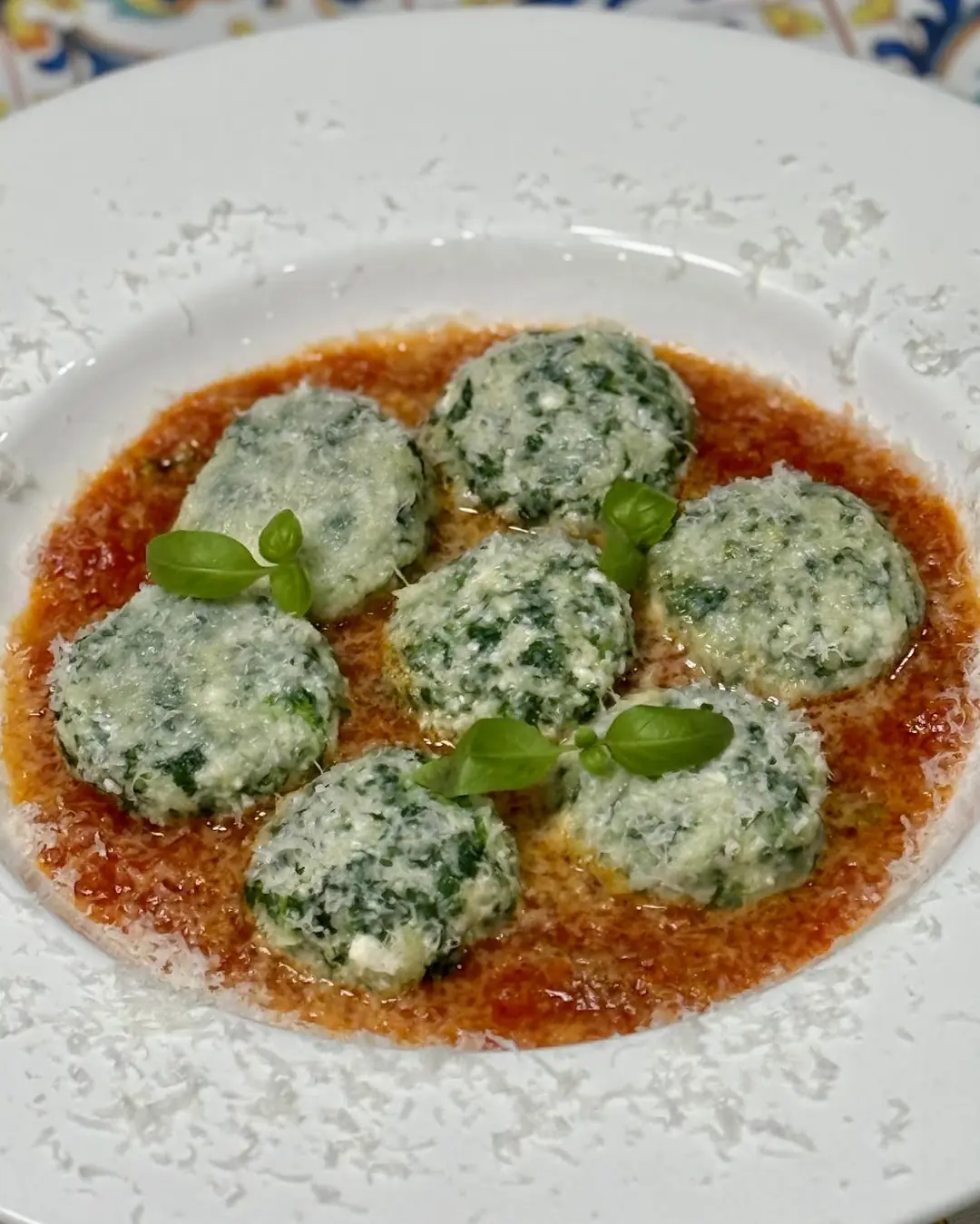 Gnudi